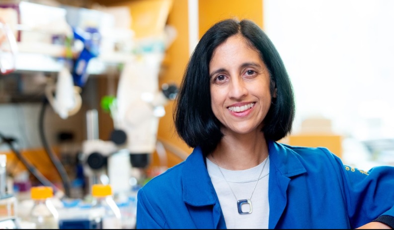 Indian American Tejal Desai, the new Dean at Brown School of Engineering