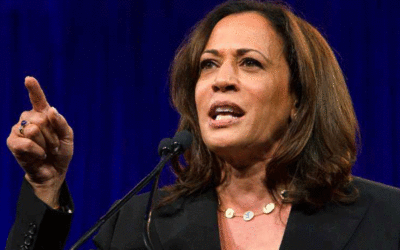 Vice President Harris Calls for More Indian Americans in Politics